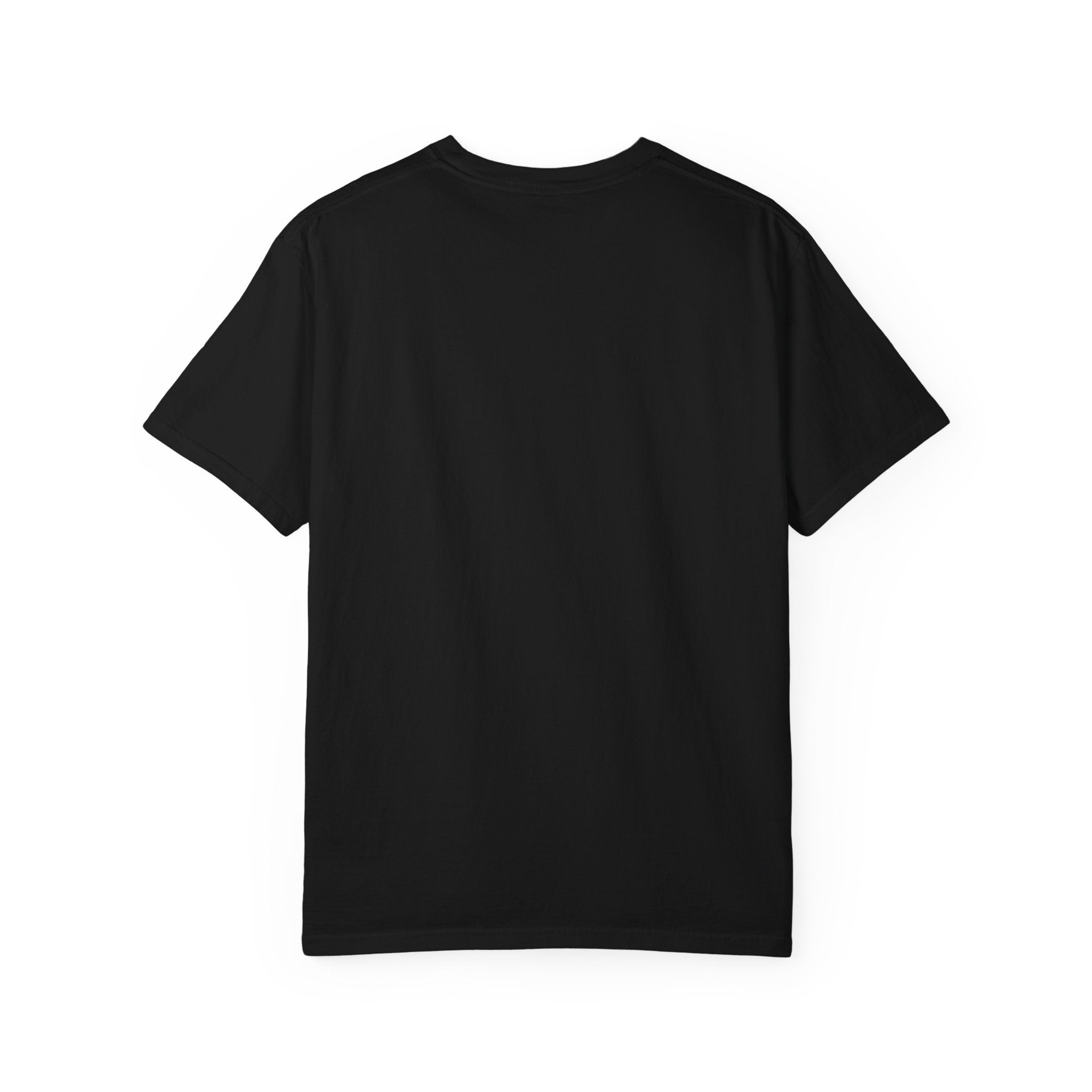 Vintage F1 Car Unisex Garment-Dyed T-shirt, Racing Tee, Motorsport Shirt, Race Car Lover Gift, Car Enthusiast Top