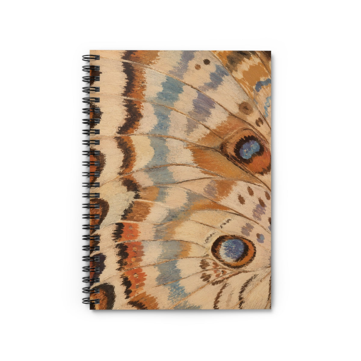 Vintage Butterfly Wing Ruled Notebook | Spiral Journal